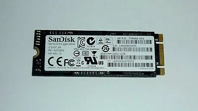 SanDisk PCIe SSD 110s Gen 3x4 256GB Internal Solid State Drive (SSD)