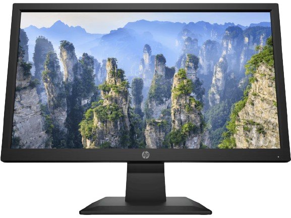HP V20 HD 19.5" Monitor