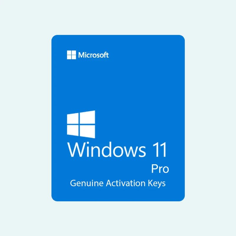 Microsoft Windows 11 Professional License Key